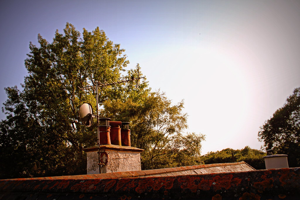 Roof and Chimney