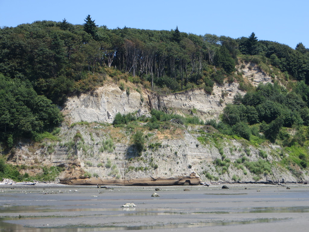 Cliffs at Magnolia Bluff | The dangerous cliffs at ...