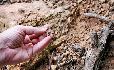 Hand Holding Fairy Stone