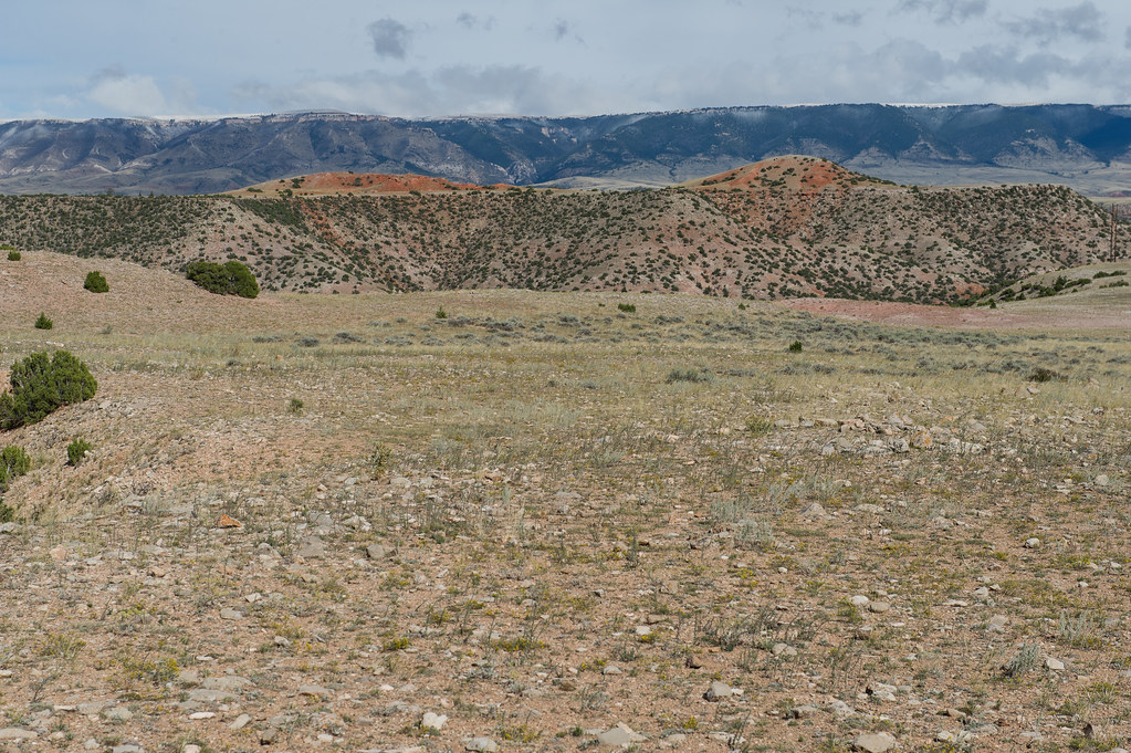 Lower Layout Creek