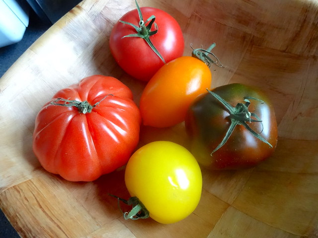 All 5 tomatoes