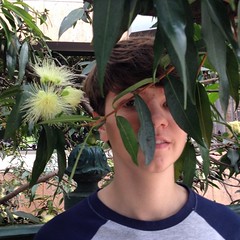 Eucalypt flower*   *Alex included for scale