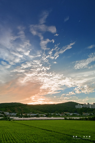 blue sunset sky cloud mountain green nature vertical landscape outdoors photography countryside asia hill nopeople korea crop agriculture southkorea ricefield ricepaddy scenics incheon gimpo tranquilscene colorimage builtstructure photographersontumblr originalphotographers