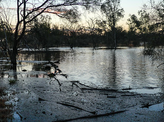 Newly flooded creek bed