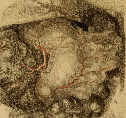 Paternoster