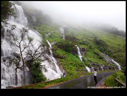 road india mist scene waterfalls western karnataka lanscape ghats mangalore charmadi malenadu chikamagalur