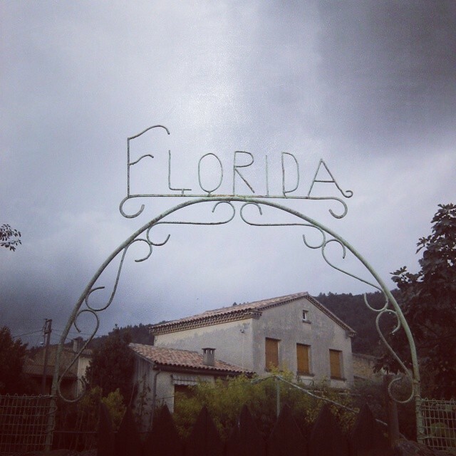 A not so sunny #florida