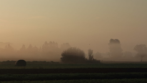 hévízgyörk hungary magyarország morning reggel fények lights fog köd landscape tájkép canon eos 700d voigtländer colorskopar 20mm sky tree sunrise