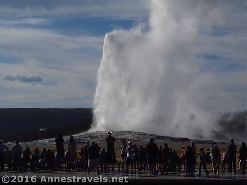 In 2016, we raced onto the boardwalk just in time to see the geyser blow! Yellowstone National Park, Wyoming