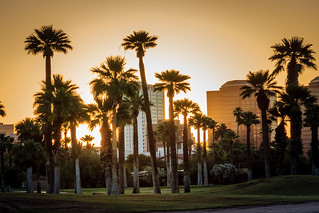 Sunrise in Phoenix.