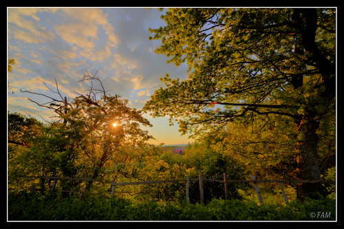 morning trees tree clouds sunrise landscape bluesky hdr simplysuperb distagont2815ze