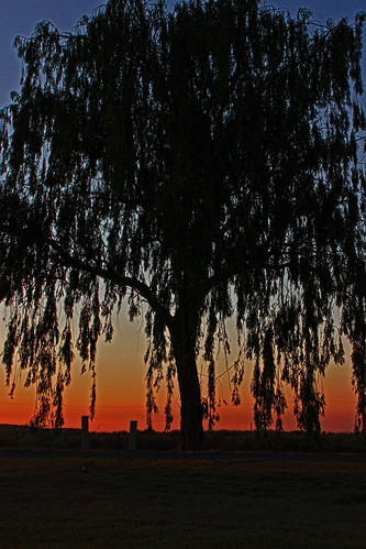 colorful sunsets bigtrees canonphotography bakersfieldcalifornia calmcolors