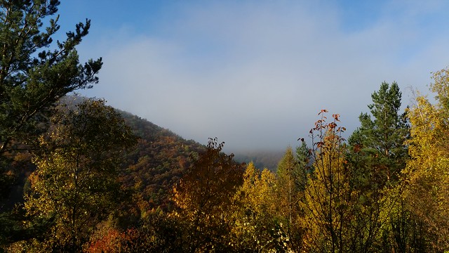 Autumnal Ahr Valley