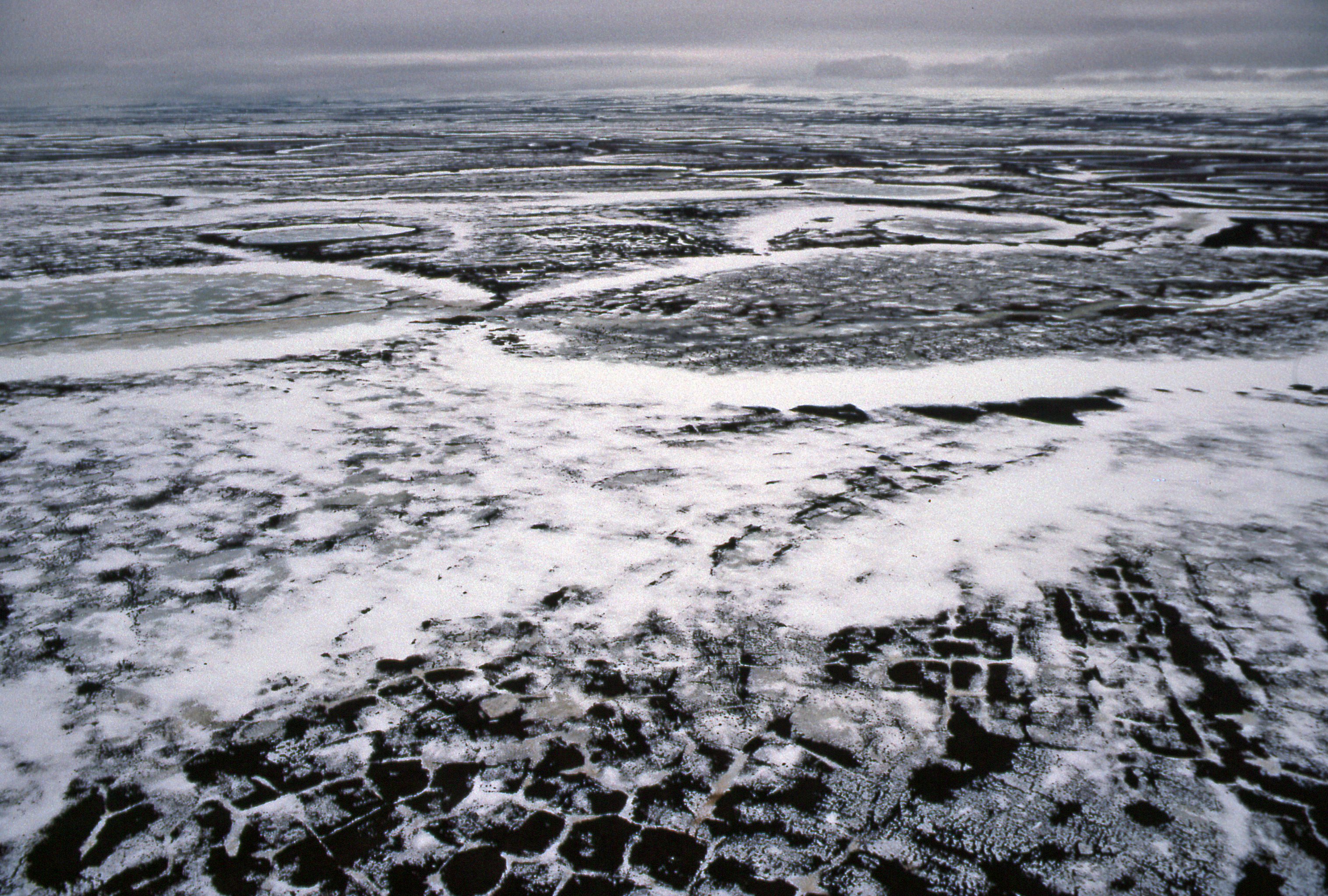 Арктическая тундра осадки