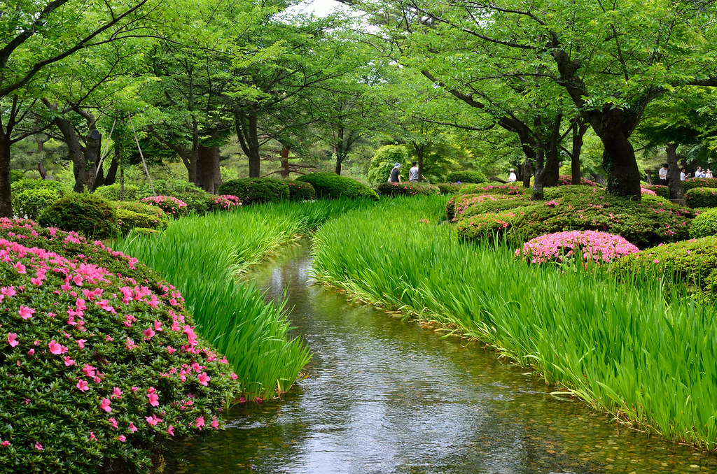 花見橋からサツキと曲水 兼六園 金沢 花見橋からサツキと曲水 兼六園 金沢 Sewanin San Flickr