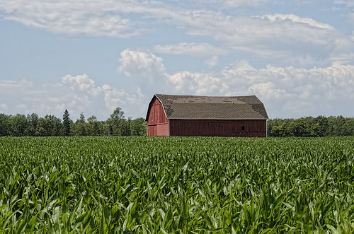 county door red summer color wisconsin architecture clouds barn corn nikon midwest day cloudy greatlakes cornfields doorcounty redbarn 2014 55300mm d5100 pwpartlycloudy doorcojuly2014