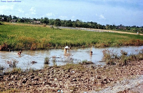 canal fishing vietnam ricepaddies 1972 dinhtuong