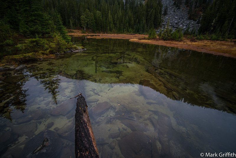 Autumn Marsh