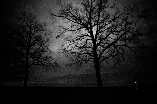 stillness of a moonlit night