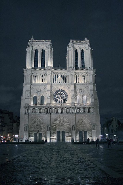 Rita Crane Photography: Notre Dame, Rainy Winter Night, Paris