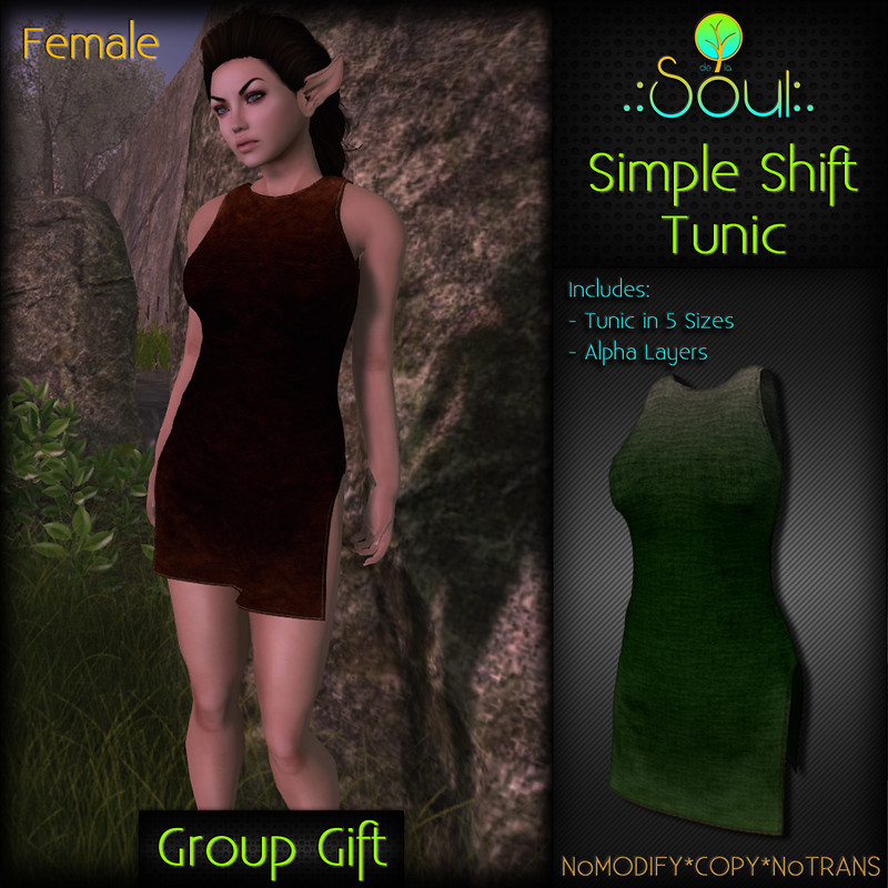 2014 Simple Shift Tunic GroupGift Female