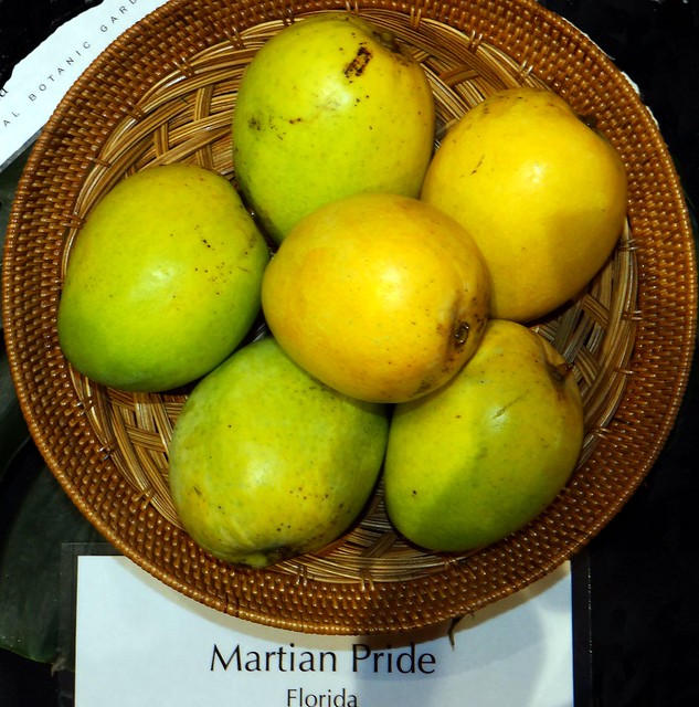 Mango  #236: MARTIAN PRIDE