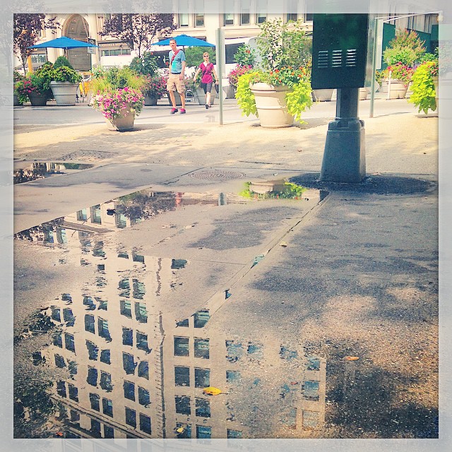 Madison Sq Park Morning | #nyc #park #reflection | ☀️