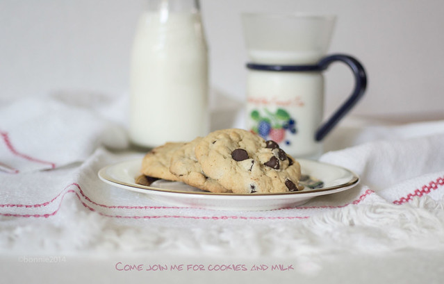 Cookies and milk--Be Still-52..Week 16