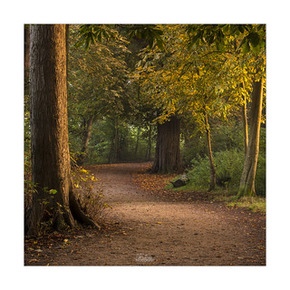 The Autumnal Path - Explored!