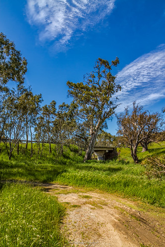 blue bridge clouds green gumtrees keyneton landscape southauatralia southaustralia australia