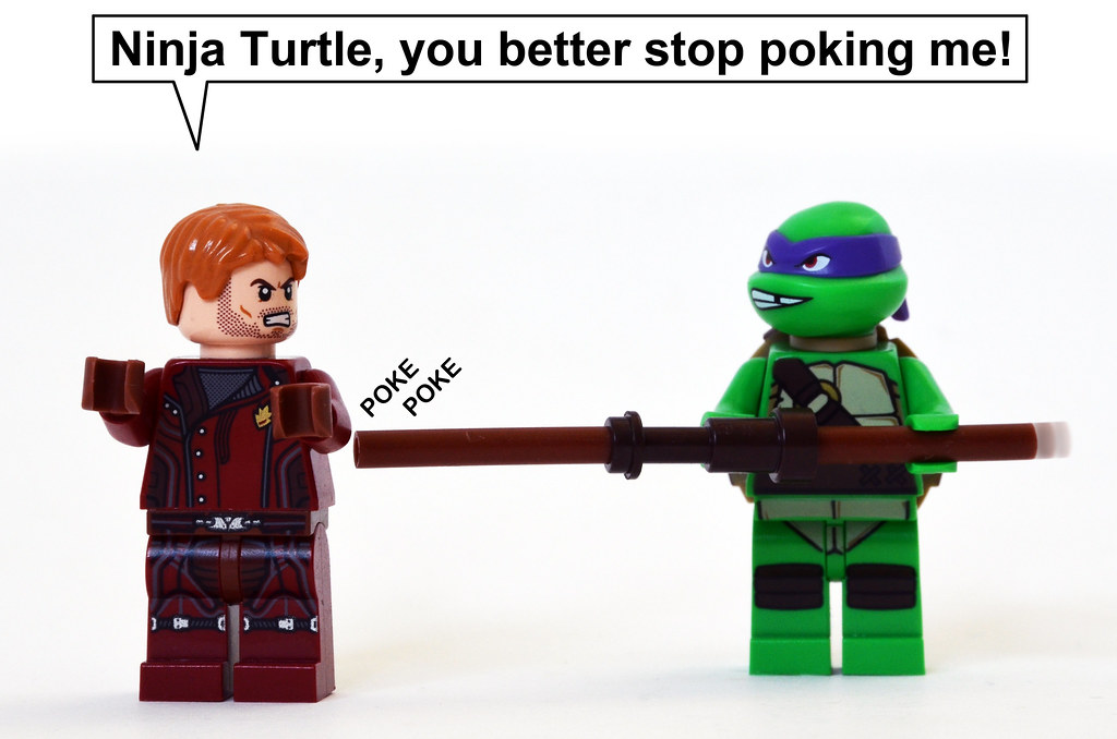 Poking Turtle