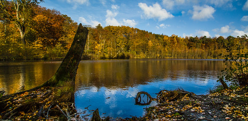 nature rudeskov forrest trees water lake autumn colours reflection denmark