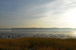 Nacton Shores Landscape