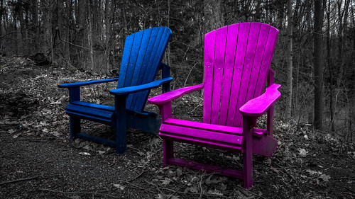 park new wood old pink blue trees light summer portrait sky blackandwhite bw white plant toronto ontario canada black color colour tree fall abandoned nature colors field grass leaves closeup clouds forest vintage dark out landscape outside outdoors photography us photo spring big bush chair nikon colours purple dynamic photos earth path walk trail his imaging wilderness muskoka dying hers newold hisandhers muskokachair portraitphotography leaveschangingcolor nikond60 1920x1080 trolled portraitphoto cans2s kortrightcentreforconservation torontopark hisandhersmuskokachair