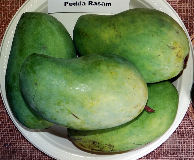Mango  #235: PEDDA RASAM  #2