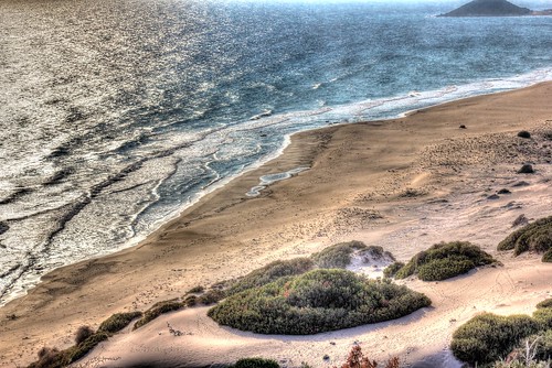 wood sunset sky beach water strand sand wasser sonnenuntergang cyprus himmel wolken holz baum hdr goldenbeach