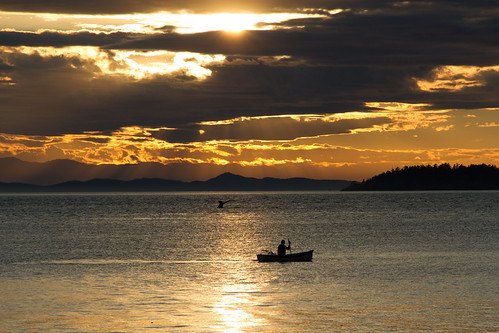ocean sunset scenery kayaking whales sechelt suncoastcentral