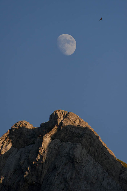 la montaña y La luna