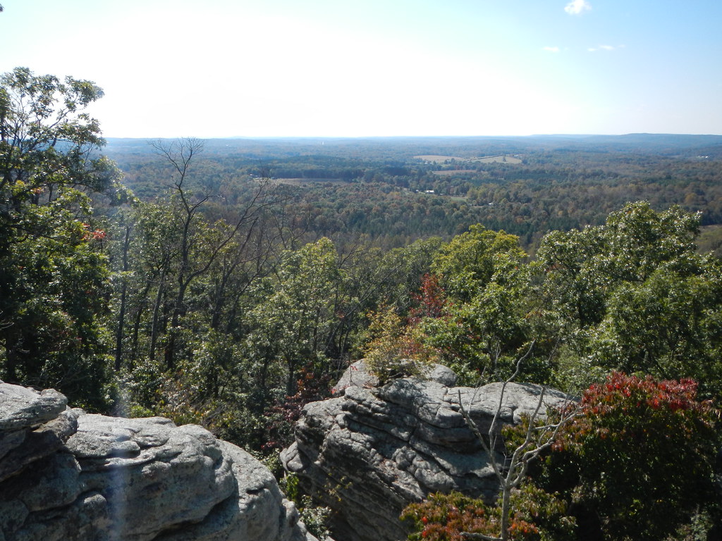 Buzzard Hollow