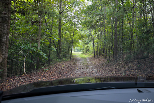 DSC_0209.jpg by SouthernPhotos@outlook.com, unitedstates alabama larrybell choctawcounty toxey larebel larebell clanahanbonnercemetery