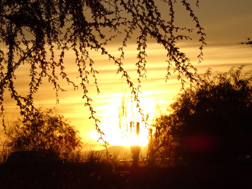 Cielo de Oro by Catalina Ramirez Saravia,