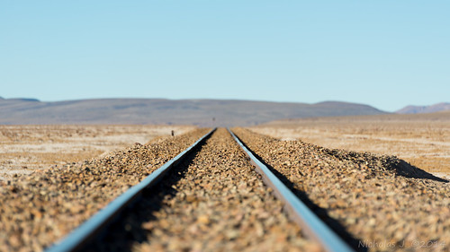 desert rail bolivia salar altiplano bolivie chiguana départementdepotosí