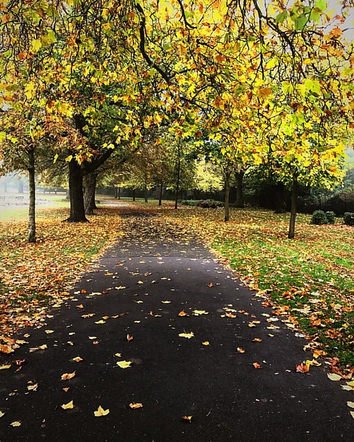 At wandle park so beautiful.. falling autumn 🍂 taken by Iphone 7 #photogtaphyforlife #park #wandlepark #croydon #Londonpark #London #iphone7 #autumn #falling #fallingautumn #fallingleaves
