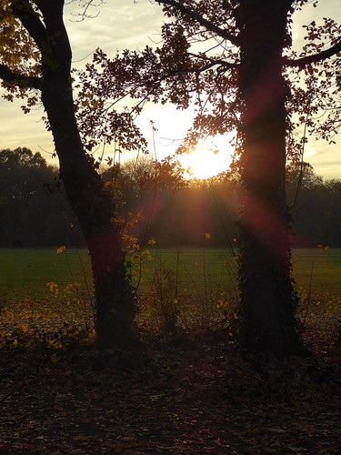 Sonnenuntergang im Leipziger Rosental by SabineausL, Note: My images are posted here for your enjoyment only. All Rights are Reserved. Please contact me 