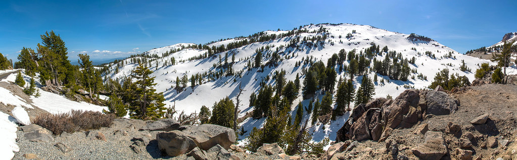 Paradise Meadows Trail