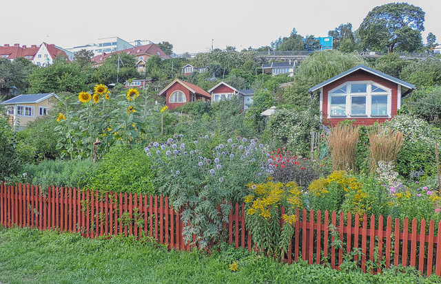 Allotment gardens, Södermalm, Stockholm