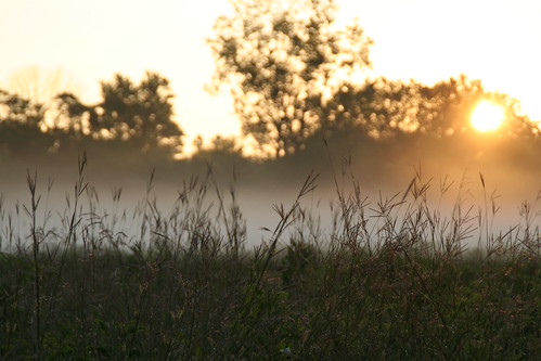 sunrise sidecutpark maumee ohio morning foggy sunrisesunset