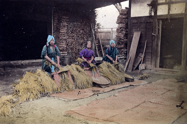 Threshing rice (hand-colored albumen print, Japan)