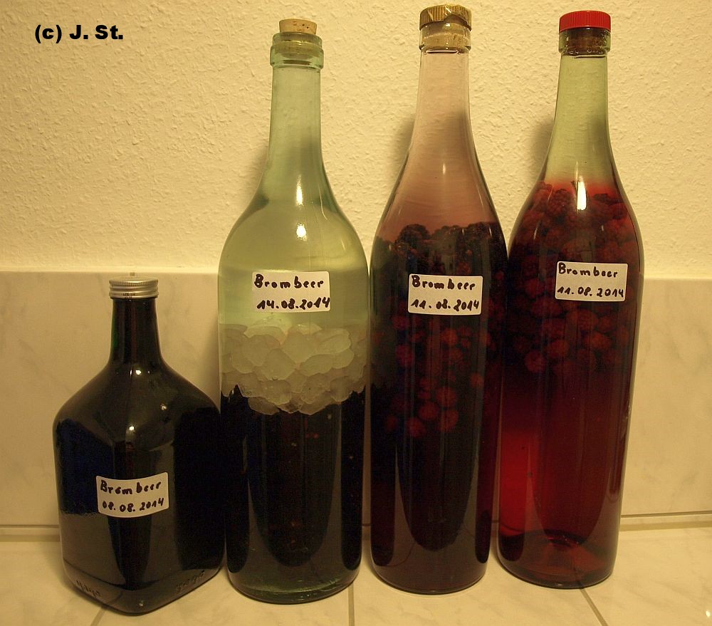 Brombeer-Aufgesetzter / Liqueur from blackberries | Die Brom… | Flickr