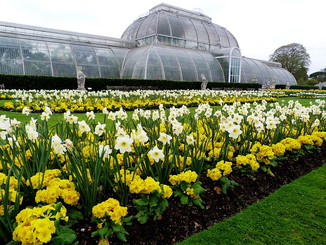 Palm House & Parterre, Royal Botanic Gardens, Kew @ 4 April 2014 (Part 2 of 2)